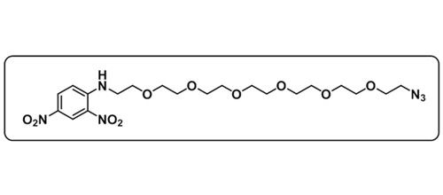 DNP-PEG6-Azide