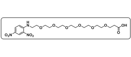 DNP-PEG6-Acid；1817829-84-7