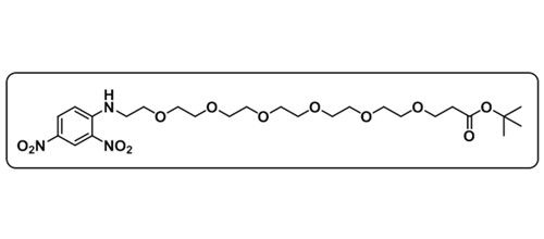 DNP-PEG6-COOtBu