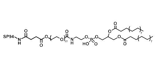 SP94-PEG-DSPE，肝癌特异靶向肽SP94-聚乙二醇-磷脂