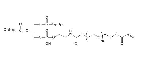 磷脂聚乙二醇丙烯酸酯 DSPE-PEG-AC