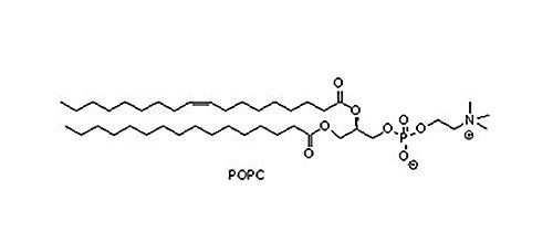 1-棕榈酰基-2-油酰基卵磷脂( POPC)， 26853-31-6