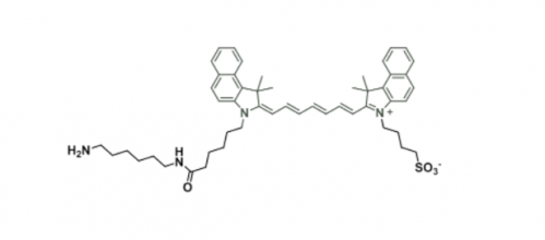 ICG amine/ICG-amine