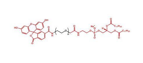 磷脂-聚乙二醇-荧光素 DSPE-PEG-FITC