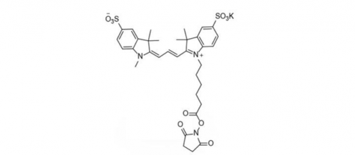 diSulfo-Cy3 NHS ester (Methyl)/ 水溶性CY3 NHS Ester