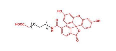 荧光素聚乙二醇羧基 FITC-PEG-COOH