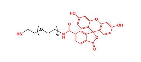 荧光素聚乙二醇巯基 FITC-PEG-SH