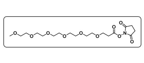 mPEG6-NHS ester；1449390-12-8