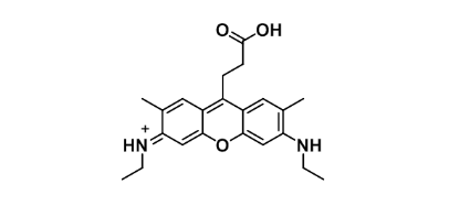 ATTO 520 acid；863655-50-9