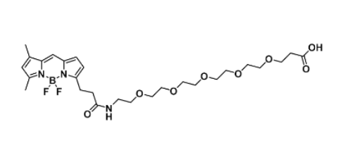 BODIPY FL-PEG5-COOH