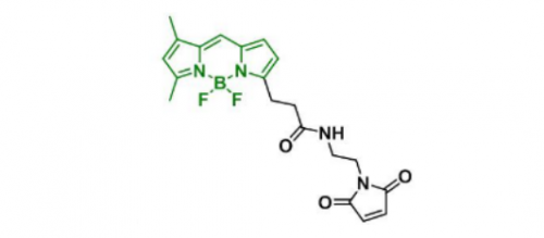 BDP FL Maleimide，773859-49-7