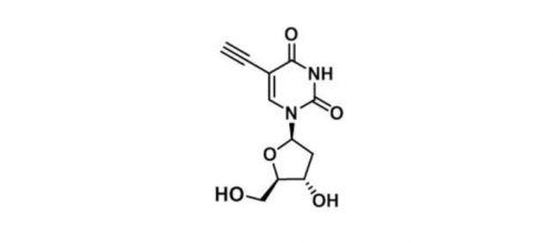 5-Ethynyl-2-deoxyuridine  5-乙炔基-2'-脱氧尿苷