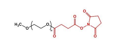 甲氧基聚乙二醇琥珀酰亚胺丁二酸酯 mPEG-SS