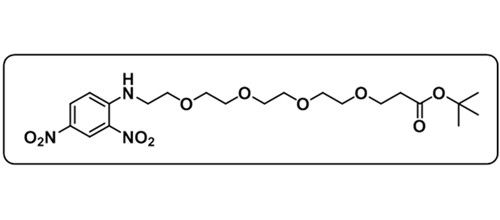 COOtBu-PEG4-DNP；DNP-PEG4-t-butyl ester
