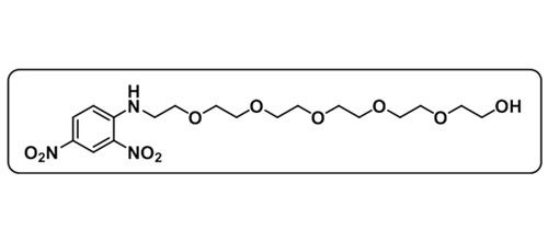 DNP-PEG6-OH