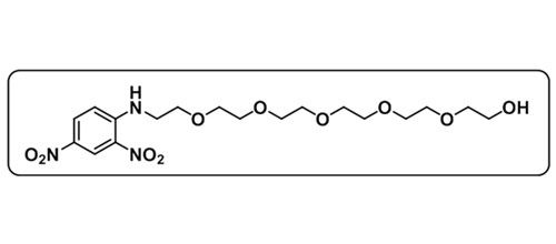 DNP-PEG6-OH