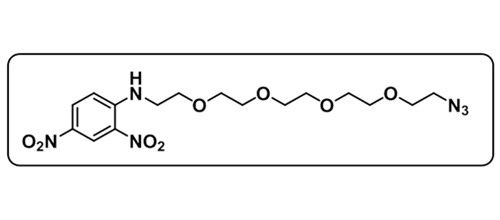 Azide-PEG4-DNP