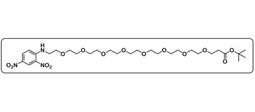 DNP-PEG8-NH-Boc