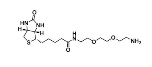 Biotin-PEG2-amine