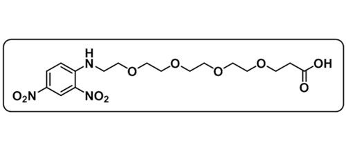 Acid-PEG4-DNP；DNP-PEG4-COOH