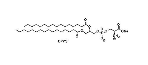二棕榈酰基磷脂酰丝氨酸钠(DPPS),145849-32-7