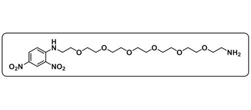 DNP-PEG6-NH2