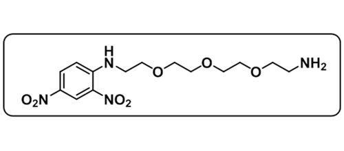 Amine-PEG3-DNP