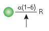 α1-6 甘露糖苷酶                 货   号                  #P0727S