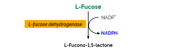 L-岩藻糖检测试剂盒，K-FUCOSE