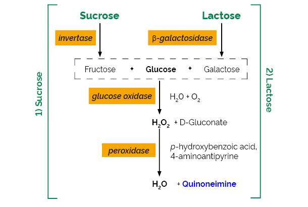 乳糖/蔗糖/ D-葡萄糖检测试剂盒，K-LACSU