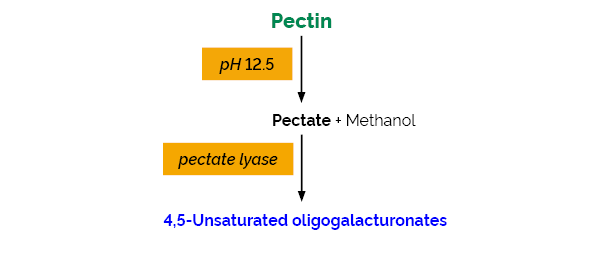 Megazyme果胶鉴定检测试剂盒，K-PECID