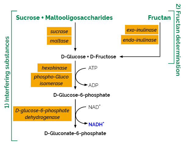 果聚糖 检测试剂盒(Hexokinase format)