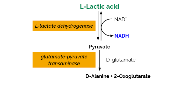 L-乳酸检测试剂盒 ，K-LATE