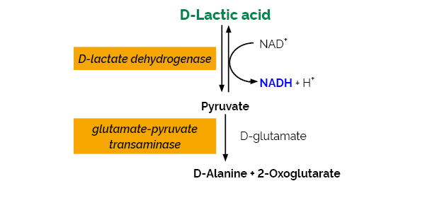 D-乳酸（快速）检测试剂盒， K-DATE