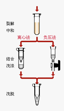 Axygen质粒小量制备试剂盒AP-MN-P-250