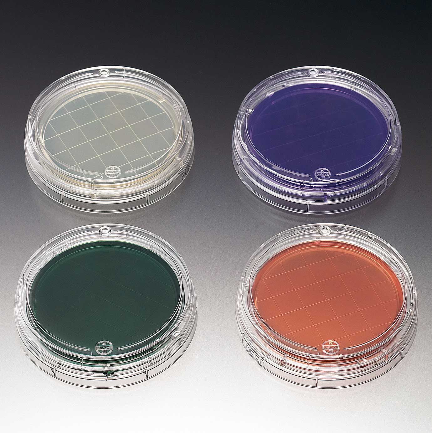 Petan check&reg;25　检测蜡状芽孢杆菌用蜡状芽孢杆菌琼脂培养基