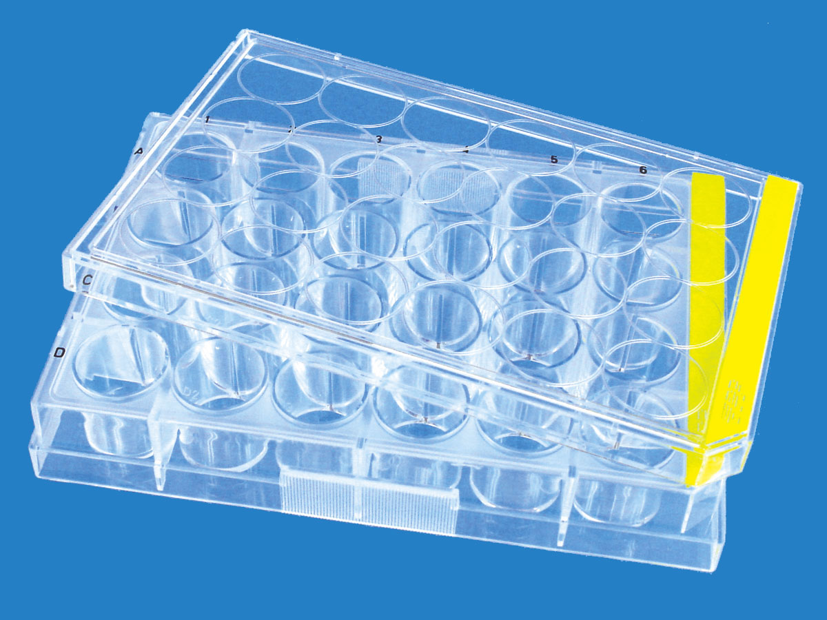 24孔平底附盖细胞培养板（4个×16袋）
