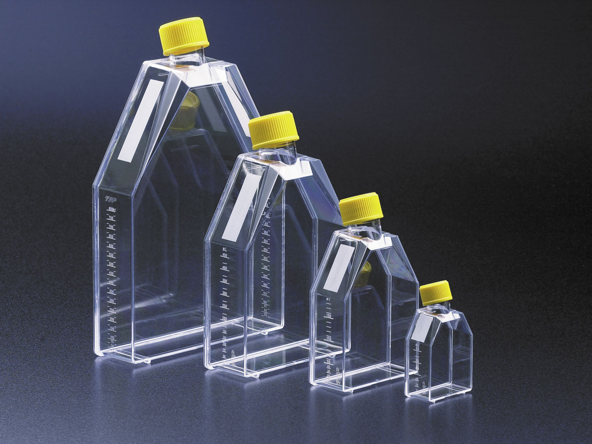 细胞培养瓶　60ml黄盖 （10个×36袋）