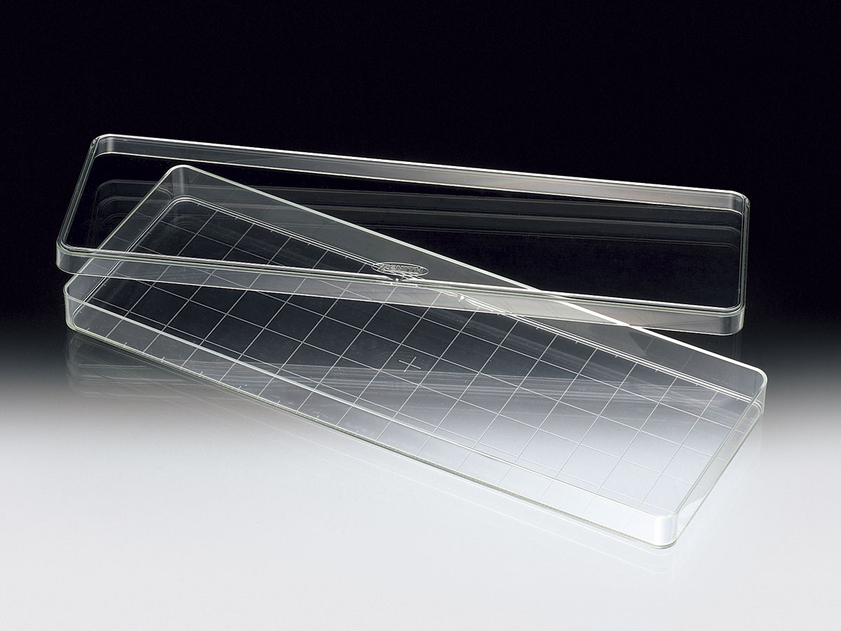 长方形培养皿 230×82×18mm (5个×20)