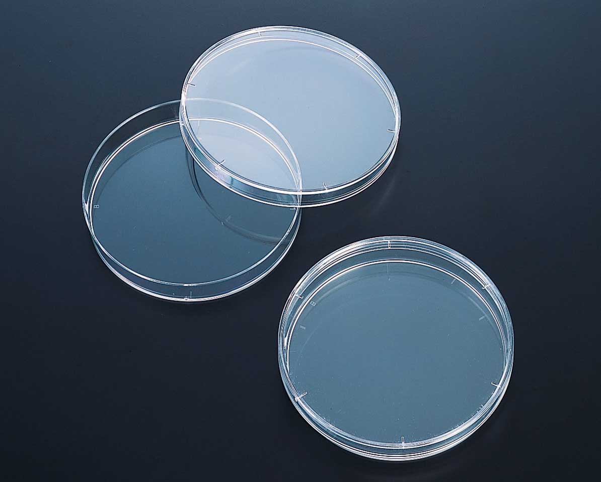 灭菌培养皿（浅型AE，规格（mm）：φ90×15，电子灭菌）