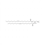 DODAP (1,2-dioleoyl-3-dimethylammonium-propane)           Cat. No. DODAP-1         20 mg