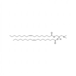 DODAP (1,2-dioleoyl-3-dimethylammonium-propane) DODAP (1,2-dioleoyl-3-dimethylammonium-propane) Cat. No. DODAP-1 20 mg