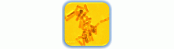 Gold Nanorods, methyl functional, SPR peak 600 Cat. No. GR600-ME-1 1 mL
