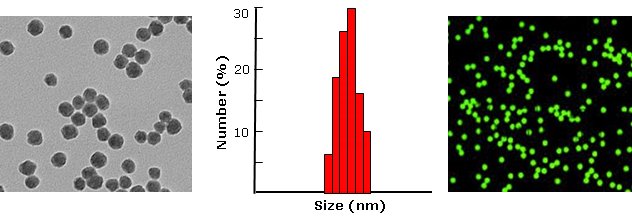 Silica nanoparticles, azide function           Cat. No. Si100-AZ-1     100 nm    0.5 mL