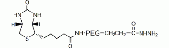 Biotin PEG hydrazide, Biotin PEG NHNH2           Cat. No. PG2-BNHZ-5k     5000 Da    50 mg