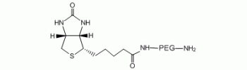 Biotin-PEG-NH2, Biotin PEG amine           Cat. No. PG2-AMBN-600     600 Da    100 mg
