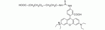 Rhodamine PEG Acid, RB-PEG-COOH           Cat. No. PG2-CARB-5k     5000 Da    10 mg