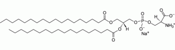 3-sn-Phosphatidyl-L-serine           Cat. No. PSL01         25 mg