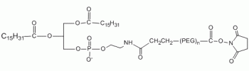 DPPE PEG NHS           Cat. No. PG2-DPNS-5k     5000 Da    100 mg