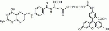 Folate PEG FITC, FITC PEG Folic acid           Cat. No. PG2-FAFC-10k     10000 Da    5 mg